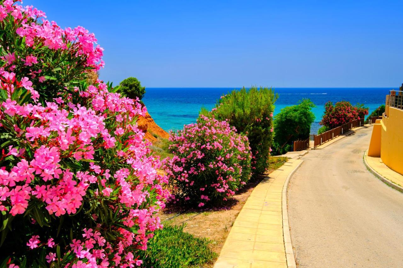 Mileniun Levante Dehesa de Campoamor  外观 照片